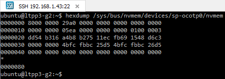 Снимок экрана с выводом hexdump для OTP процессора Plus1.